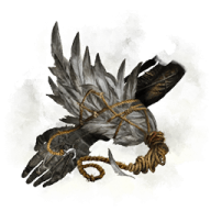 NightRaven