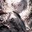 alxne.by